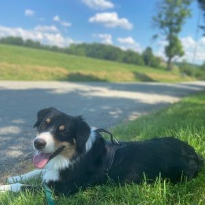 Meet your Posher, Terry